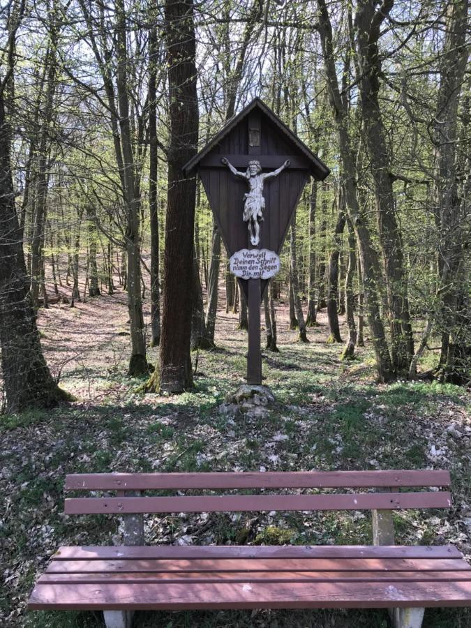 Pension-Ferienwohnung Liesbachtal Direkt Am Waldrand Bayerische Rhoen Schonau an der Brend Exterior photo