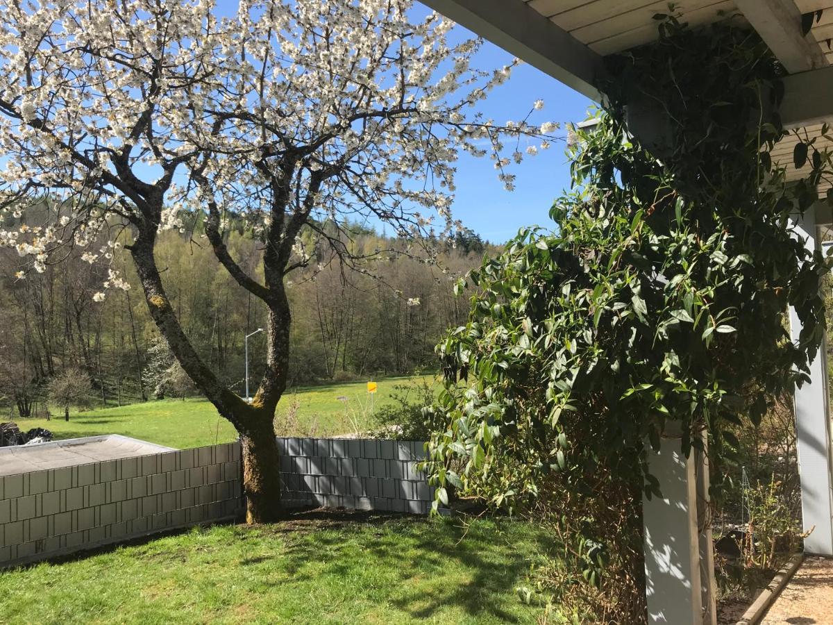 Pension-Ferienwohnung Liesbachtal Direkt Am Waldrand Bayerische Rhoen Schonau an der Brend Exterior photo