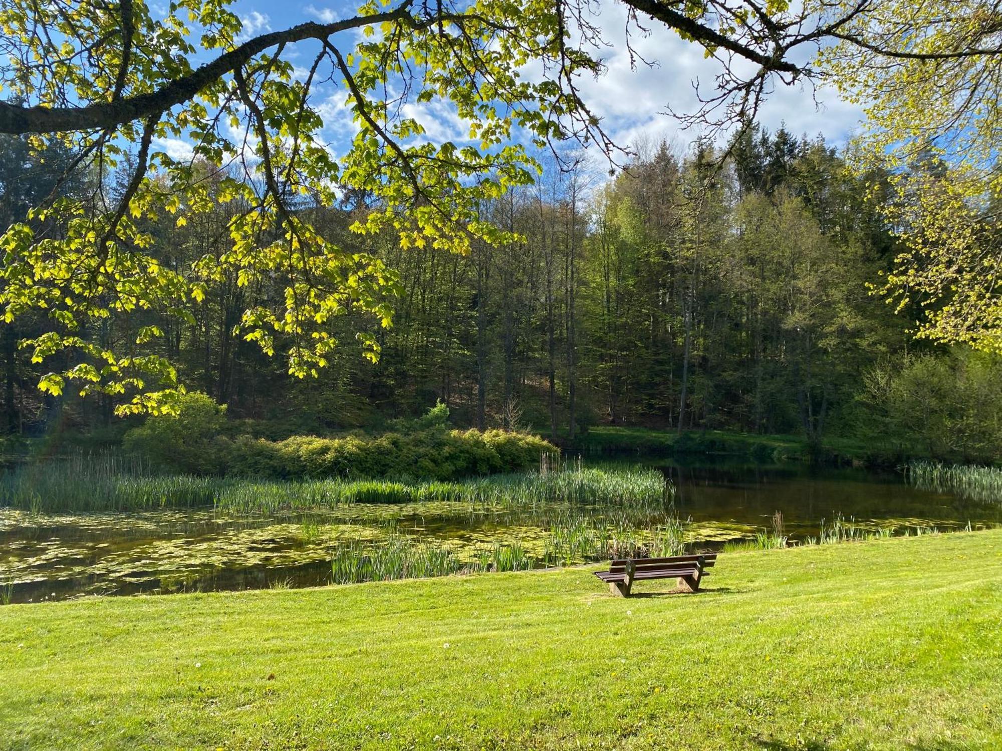 Pension-Ferienwohnung Liesbachtal Direkt Am Waldrand Bayerische Rhoen Schonau an der Brend Exterior photo