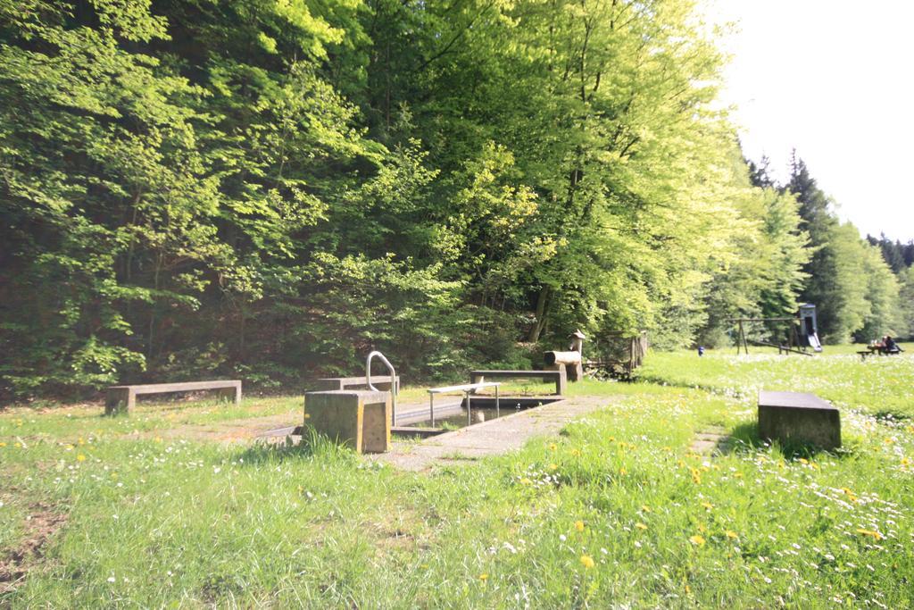Pension-Ferienwohnung Liesbachtal Direkt Am Waldrand Bayerische Rhoen Schonau an der Brend Exterior photo