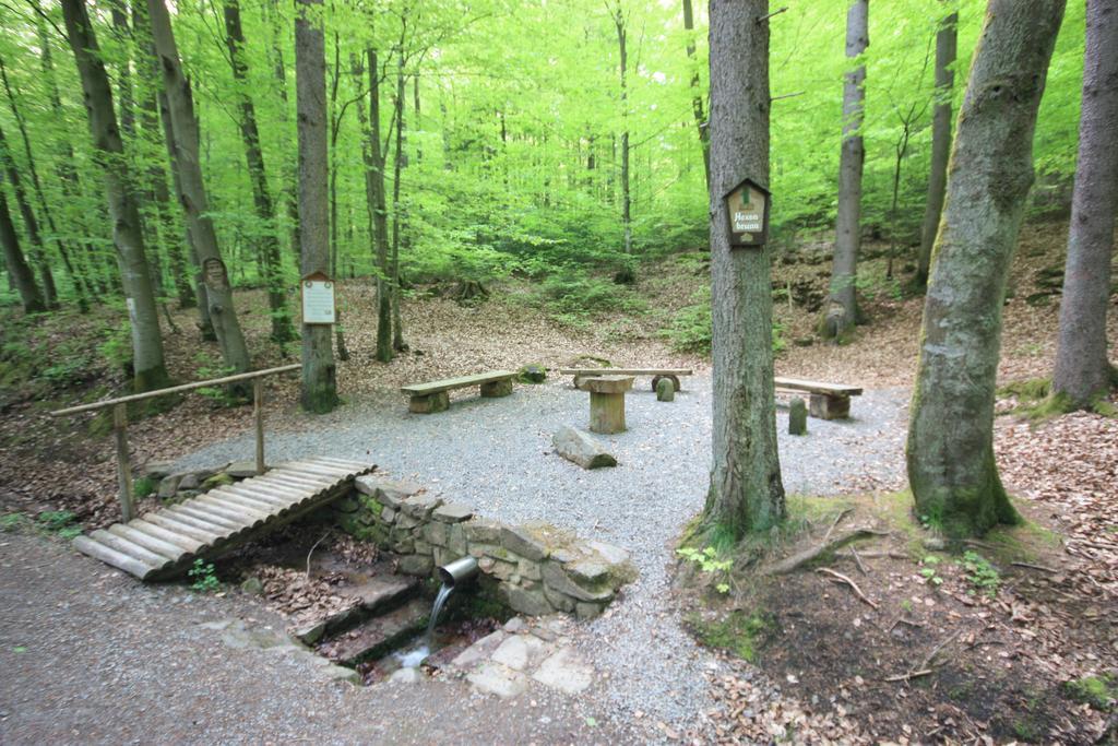 Pension-Ferienwohnung Liesbachtal Direkt Am Waldrand Bayerische Rhoen Schonau an der Brend Exterior photo